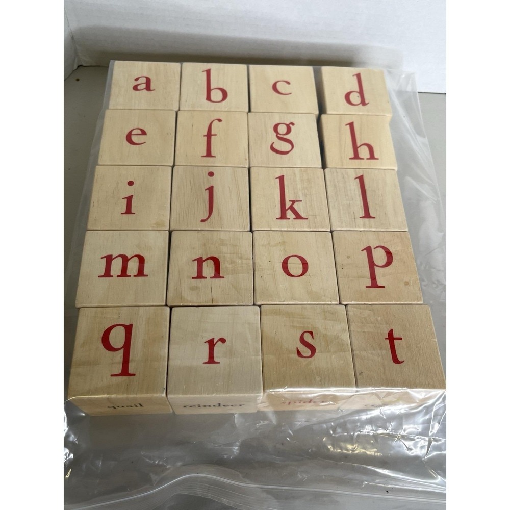 2018 Pottery Barn Kids Ningbo Wooden 2" Play Blocks with Alphabet & Animals
